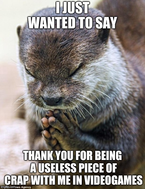 Thank you Lord Otter | I JUST WANTED TO SAY; THANK YOU FOR BEING A USELESS PIECE OF CRAP WITH ME IN VIDEOGAMES | image tagged in thank you lord otter | made w/ Imgflip meme maker
