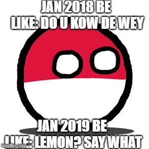 poland confussed | JAN 2018 BE LIKE: DO U KOW DE WEY; JAN 2019 BE LIKE: LEMON? SAY WHAT | image tagged in poland confussed | made w/ Imgflip meme maker