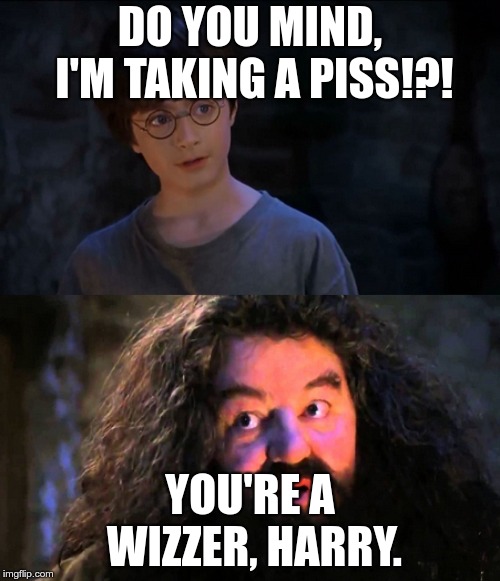 You're a wizard Harry | DO YOU MIND, I'M TAKING A PISS!?! YOU'RE A WIZZER, HARRY. | image tagged in you're a wizard harry | made w/ Imgflip meme maker