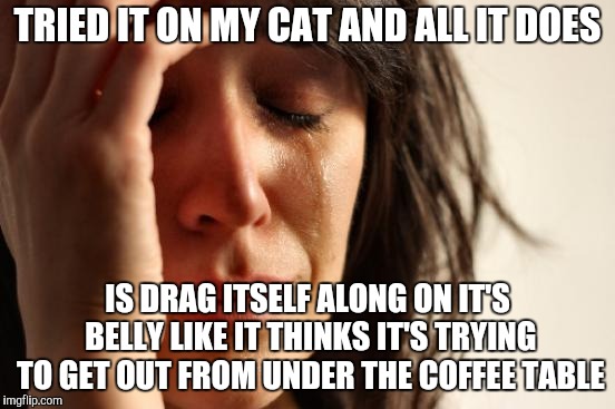First World Problems Meme | TRIED IT ON MY CAT AND ALL IT DOES IS DRAG ITSELF ALONG ON IT'S BELLY LIKE IT THINKS IT'S TRYING TO GET OUT FROM UNDER THE COFFEE TABLE | image tagged in memes,first world problems | made w/ Imgflip meme maker