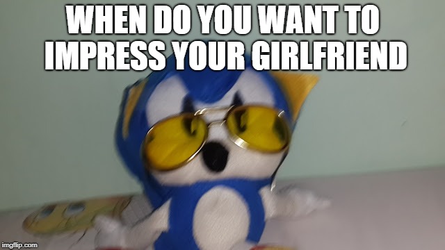Swag Sonic | WHEN DO YOU WANT TO IMPRESS YOUR GIRLFRIEND | image tagged in swag sonic | made w/ Imgflip meme maker
