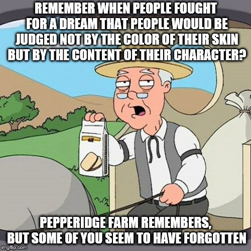 If this meme has you triggered, you are the racist. | REMEMBER WHEN PEOPLE FOUGHT FOR A DREAM THAT PEOPLE WOULD BE JUDGED NOT BY THE COLOR OF THEIR SKIN BUT BY THE CONTENT OF THEIR CHARACTER? PEPPERIDGE FARM REMEMBERS, BUT SOME OF YOU SEEM TO HAVE FORGOTTEN | image tagged in memes,pepperidge farm remembers,racism | made w/ Imgflip meme maker