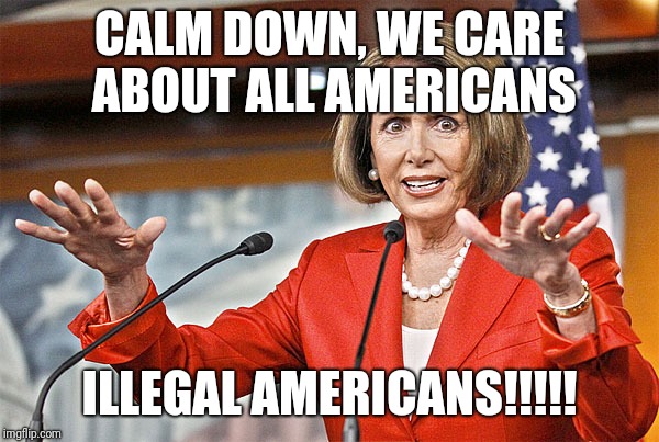 Nancy Pelosi is crazy | CALM DOWN, WE CARE ABOUT ALL AMERICANS; ILLEGAL AMERICANS!!!!! | image tagged in nancy pelosi is crazy | made w/ Imgflip meme maker
