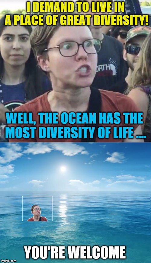 I feel sorry for those Great White Sharks. | I DEMAND TO LIVE IN A PLACE OF GREAT DIVERSITY! WELL, THE OCEAN HAS THE MOST DIVERSITY OF LIFE .... YOU'RE WELCOME | image tagged in ocean,triggered feminist,diversity | made w/ Imgflip meme maker