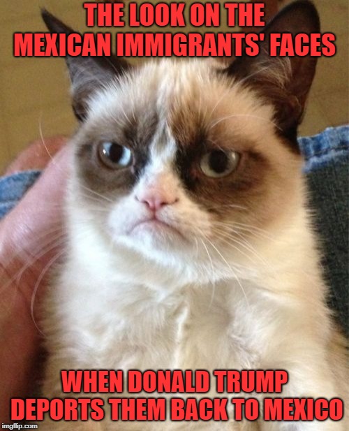 This is how Mexican immigrants feel when Trump deports them back to Mexico | THE LOOK ON THE MEXICAN IMMIGRANTS' FACES; WHEN DONALD TRUMP DEPORTS THEM BACK TO MEXICO | image tagged in memes,grumpy cat,donald trump,mexicans,deportation,mexico | made w/ Imgflip meme maker