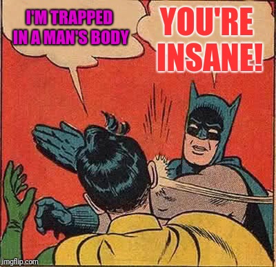 Batman Slapping Robin | YOU'RE INSANE! I'M TRAPPED IN A MAN'S BODY | image tagged in memes,batman slapping robin | made w/ Imgflip meme maker