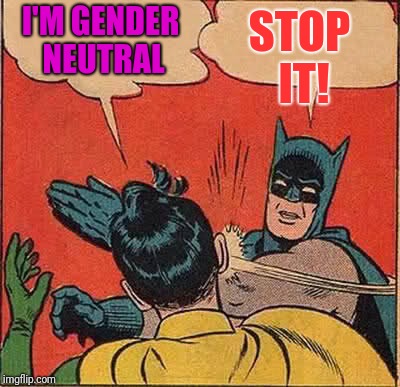 Batman Slapping Robin Meme | STOP IT! I'M GENDER NEUTRAL | image tagged in memes,batman slapping robin | made w/ Imgflip meme maker