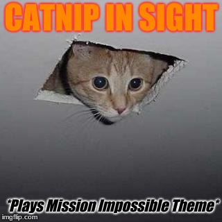 Cat wants to steal your NIP | CATNIP IN SIGHT; *Plays Mission Impossible Theme* | image tagged in memes,ceiling cat,catnip,mission impossible,theft | made w/ Imgflip meme maker