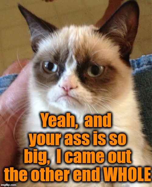 Grumpy Cat Meme | Yeah,  and your ass is so big,  I came out the other end WHOLE | image tagged in memes,grumpy cat | made w/ Imgflip meme maker