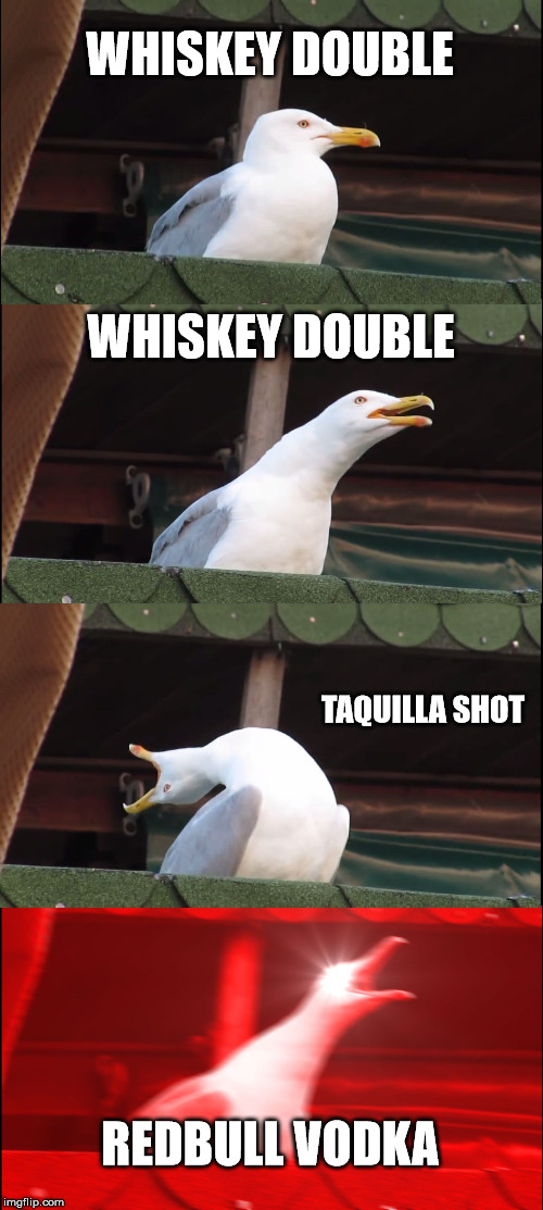 Inhaling Seagull Meme | WHISKEY DOUBLE; WHISKEY DOUBLE; TAQUILLA SHOT; REDBULL VODKA | image tagged in memes,inhaling seagull | made w/ Imgflip meme maker