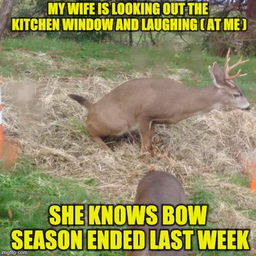 Wouldn't ya know it?  | MY WIFE IS LOOKING OUT THE KITCHEN WINDOW AND LAUGHING ( AT ME ); SHE KNOWS BOW SEASON ENDED LAST WEEK | image tagged in memes,irony,deer,oh crap,hunting season | made w/ Imgflip meme maker