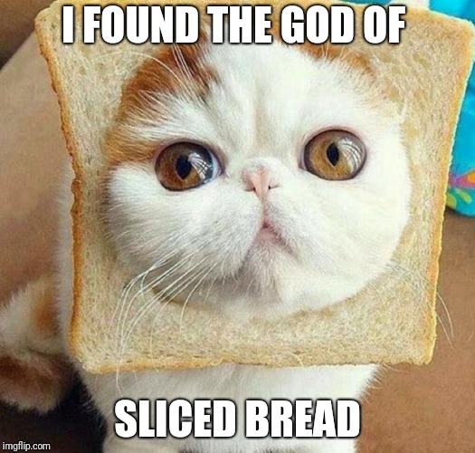 I FOUND THE GOD OF SLICED BREAD | image tagged in bread cat | made w/ Imgflip meme maker