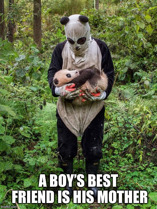 bear motel | A BOY’S BEST FRIEND IS HIS MOTHER | image tagged in a boys best friend is his mother,psycho,norman bates,panda,creepy bear,bear memes | made w/ Imgflip meme maker