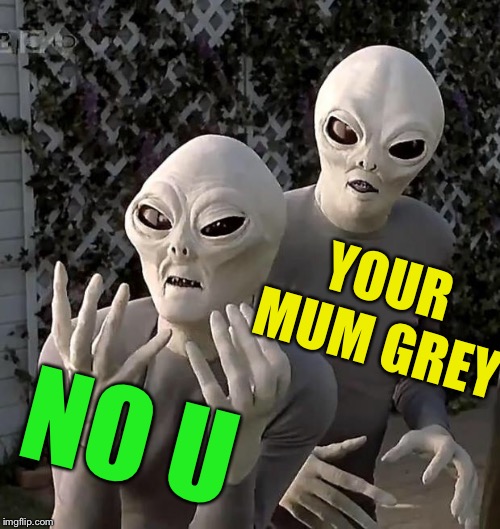 Probing the depths ?!? | YOUR MUM GREY; NO U | image tagged in aliens,grey aliens,your mum gay,no u,childish,funny | made w/ Imgflip meme maker