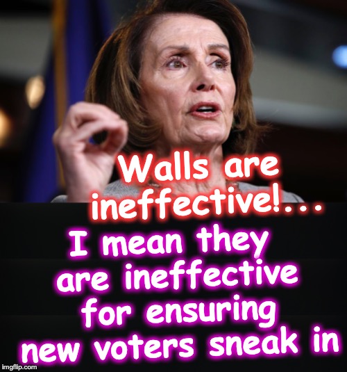 Bingo | Walls are ineffective!... I mean they are ineffective for ensuring new voters sneak in | image tagged in nancy pelosi,border wall | made w/ Imgflip meme maker