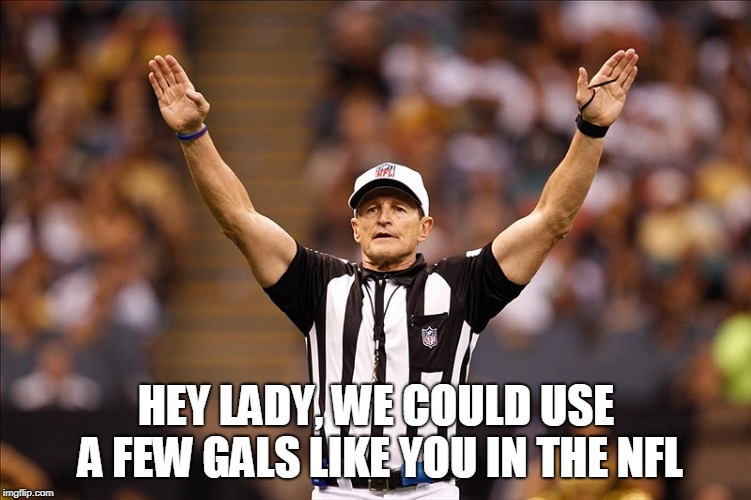 Logical Fallacy Referee NFL #85 | HEY LADY, WE COULD USE A FEW GALS LIKE YOU IN THE NFL | image tagged in logical fallacy referee nfl 85 | made w/ Imgflip meme maker