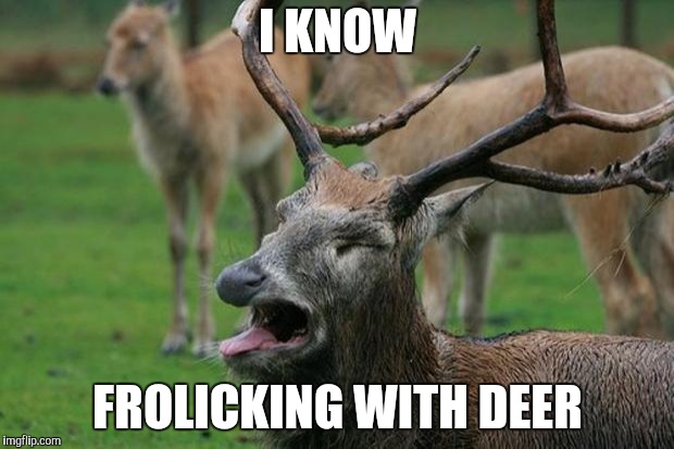 Disgusted Deer | I KNOW FROLICKING WITH DEER | image tagged in disgusted deer | made w/ Imgflip meme maker