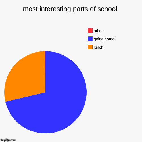 most interesting parts of school | lunch, going home, other | image tagged in funny,pie charts | made w/ Imgflip chart maker