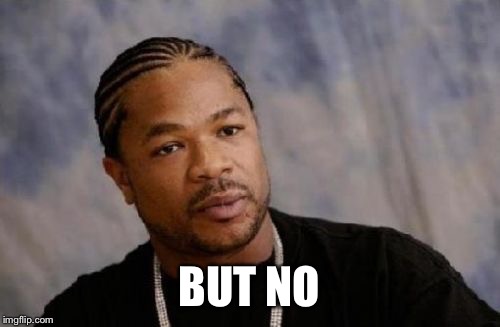 Serious Xzibit Meme | BUT NO | image tagged in memes,serious xzibit | made w/ Imgflip meme maker