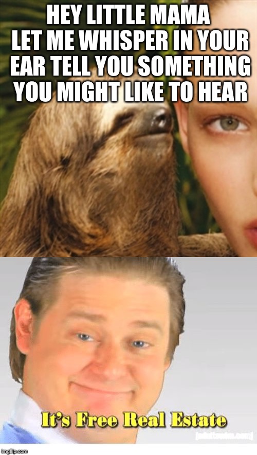 HEY LITTLE MAMA LET ME WHISPER IN YOUR EAR TELL YOU SOMETHING YOU MIGHT LIKE TO HEAR | image tagged in memes,whisper sloth,it's free real estate | made w/ Imgflip meme maker