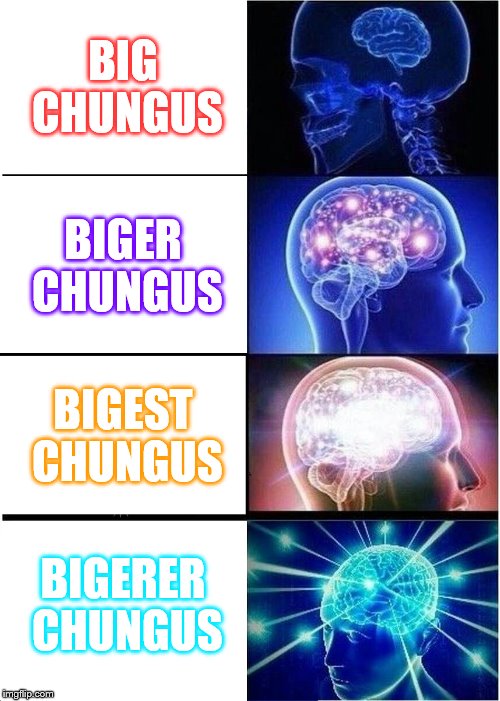 Expanding Brain | BIG CHUNGUS; BIGER CHUNGUS; BIGEST CHUNGUS; BIGERER CHUNGUS | image tagged in memes,expanding brain | made w/ Imgflip meme maker