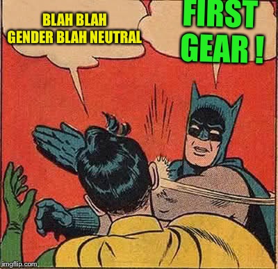 Batman Slapping Robin Meme | FIRST GEAR ! BLAH BLAH GENDER BLAH NEUTRAL | image tagged in memes,batman slapping robin | made w/ Imgflip meme maker