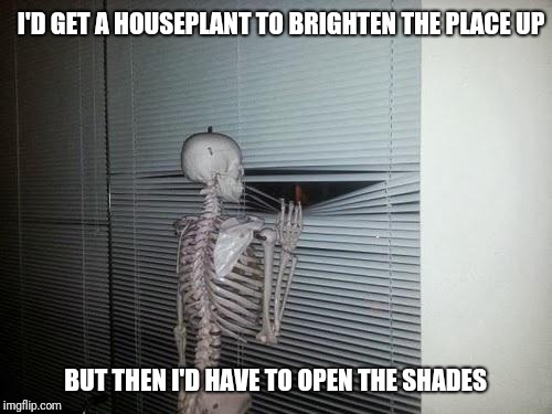 Depressed skeleton | I'D GET A HOUSEPLANT TO BRIGHTEN THE PLACE UP; BUT THEN I'D HAVE TO OPEN THE SHADES | image tagged in skeleton looking out window,introvert | made w/ Imgflip meme maker