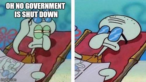 Squidward Don't Care | OH NO GOVERNMENT  IS SHUT DOWN | image tagged in squidward don't care | made w/ Imgflip meme maker