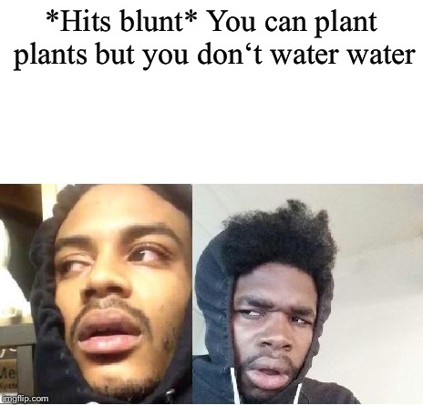 hits blunt  | *Hits blunt* You can plant plants but you don‘t water water | image tagged in hits blunt | made w/ Imgflip meme maker