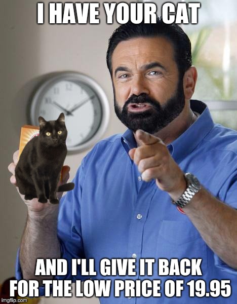 Billy Mays | I HAVE YOUR CAT; AND I'LL GIVE IT BACK FOR THE LOW PRICE OF 19.95 | image tagged in billy mays | made w/ Imgflip meme maker