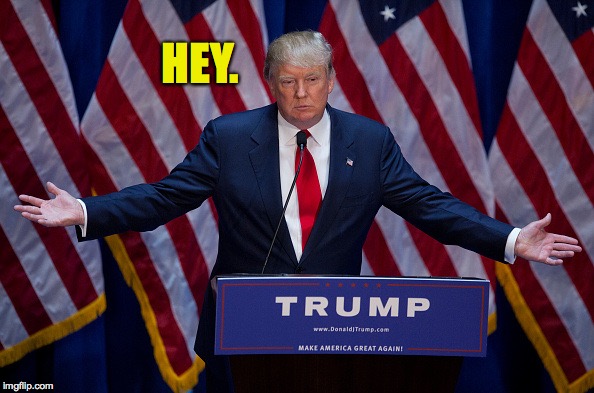 Donald Trump | HEY. | image tagged in donald trump | made w/ Imgflip meme maker