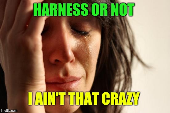 First World Problems Meme | HARNESS OR NOT I AIN'T THAT CRAZY | image tagged in memes,first world problems | made w/ Imgflip meme maker
