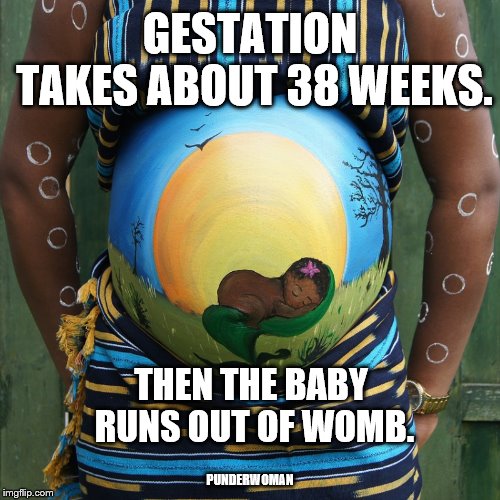 The Mother of All Puns | GESTATION TAKES ABOUT 38 WEEKS. THEN THE BABY RUNS OUT OF WOMB. PUNDERWOMAN | image tagged in pregnancy,baby,pun | made w/ Imgflip meme maker