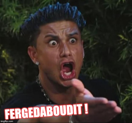 jersey shore guy | FERGEDABOUDIT ! | image tagged in jersey shore guy | made w/ Imgflip meme maker