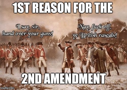 Hand Over | 1ST REASON FOR THE 2ND AMENDMENT | image tagged in hand over | made w/ Imgflip meme maker