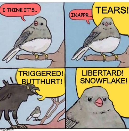 Common discussion on sensitive subject. | TEARS! I THINK IT'S.. INAPPR... TRIGGERED! BUTTHURT! LIBERTARD! SNOWFLAKE! | image tagged in annoyed bird,triggered,liberal vs conservative,snowflake,liberal | made w/ Imgflip meme maker