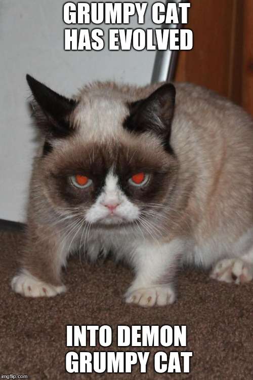 Grumpy Cat red eyes | GRUMPY CAT HAS EVOLVED; INTO DEMON GRUMPY CAT | image tagged in grumpy cat red eyes | made w/ Imgflip meme maker
