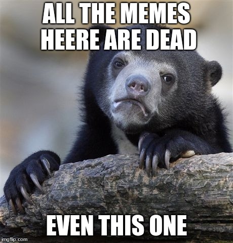 Confession Bear Meme | ALL THE MEMES HEERE ARE DEAD; EVEN THIS ONE | image tagged in memes,confession bear | made w/ Imgflip meme maker
