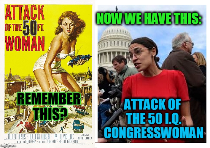 The Attacks keep getting Worse! | NOW WE HAVE THIS:; ATTACK OF THE 50 I.Q. CONGRESSWOMAN; REMEMBER THIS? | image tagged in funny,funny memes,memes,mxm | made w/ Imgflip meme maker