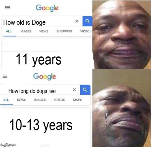 How old is... | How old is Doge; 11 years; How long do dogs live; 10-13 years | image tagged in how old is | made w/ Imgflip meme maker