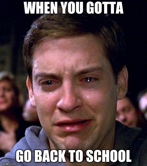 crying peter parker | WHEN YOU GOTTA; GO BACK TO SCHOOL | image tagged in crying peter parker | made w/ Imgflip meme maker