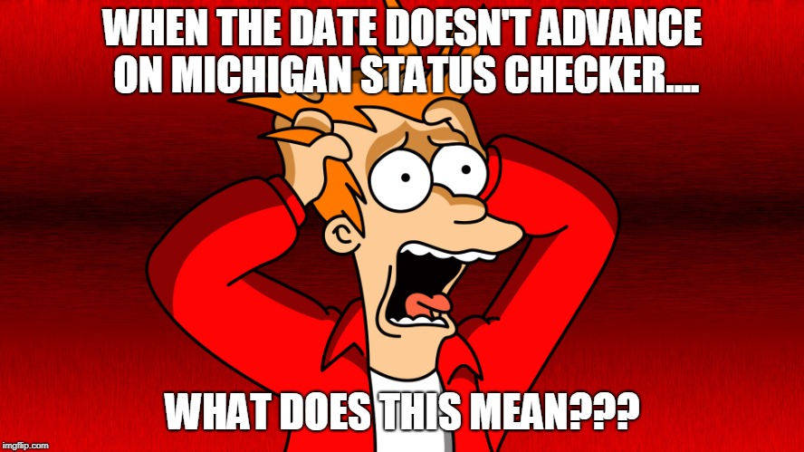 Fry Panic | WHEN THE DATE DOESN'T ADVANCE ON MICHIGAN STATUS CHECKER.... WHAT DOES THIS MEAN??? | image tagged in fry panic | made w/ Imgflip meme maker
