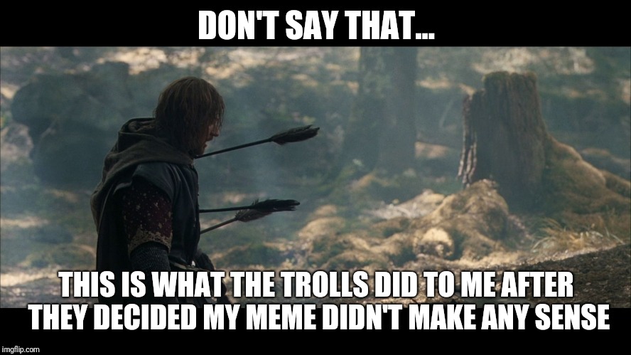 Boromir Arrows | DON'T SAY THAT... THIS IS WHAT THE TROLLS DID TO ME AFTER THEY DECIDED MY MEME DIDN'T MAKE ANY SENSE | image tagged in boromir arrows | made w/ Imgflip meme maker