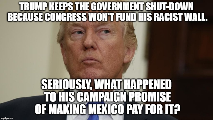 Total Loser | TRUMP KEEPS THE GOVERNMENT SHUT-DOWN BECAUSE CONGRESS WON'T FUND HIS RACIST WALL. SERIOUSLY, WHAT HAPPENED TO HIS CAMPAIGN PROMISE OF MAKING MEXICO PAY FOR IT? | image tagged in donald trump,congress,wall,mexico,border,government shutdown | made w/ Imgflip meme maker