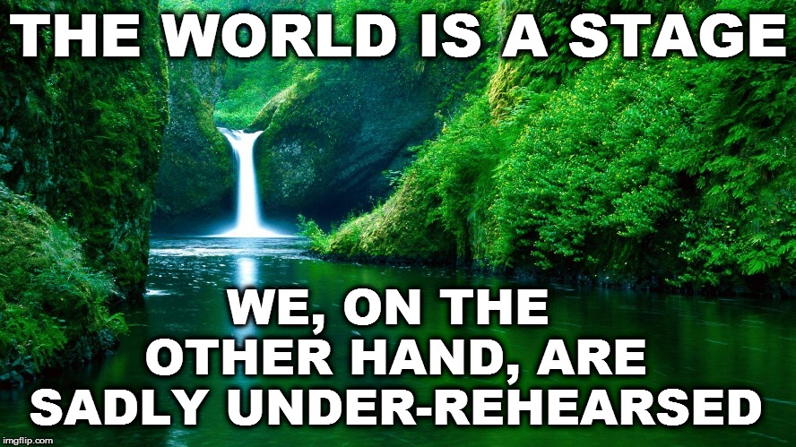 Life Lessons | THE WORLD IS A STAGE; WE, ON THE OTHER HAND, ARE SADLY UNDER-REHEARSED | image tagged in funny | made w/ Imgflip meme maker