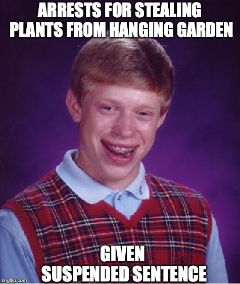Bad Luck Brian Meme | ARRESTS FOR STEALING PLANTS FROM HANGING GARDEN GIVEN SUSPENDED SENTENCE | image tagged in memes,bad luck brian | made w/ Imgflip meme maker