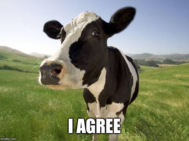 cow | I AGREE | image tagged in cow | made w/ Imgflip meme maker