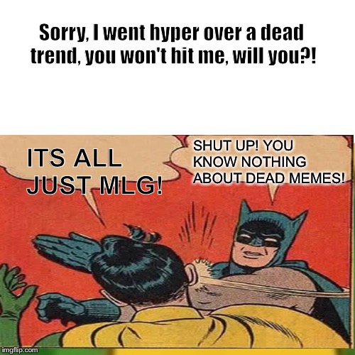 ITS ALL JUST MLG! SHUT UP! YOU KNOW NOTHING ABOUT DEAD MEMES! Sorry, I went hyper over a dead trend, you won't hit me, will you?! | image tagged in mlg | made w/ Imgflip meme maker