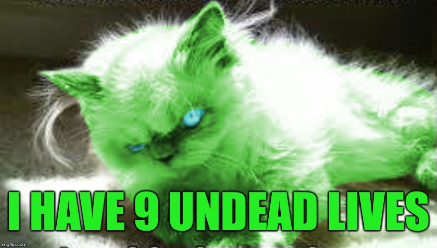 mad raycat | I HAVE 9 UNDEAD LIVES | image tagged in mad raycat | made w/ Imgflip meme maker