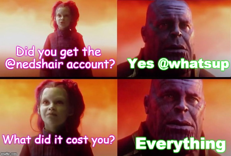 thanos what did it cost | Yes @whatsup; Did you get the @nedshair account? What did it cost you? Everything | image tagged in thanos what did it cost | made w/ Imgflip meme maker